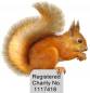 Penrith & District Red Squirrel Group