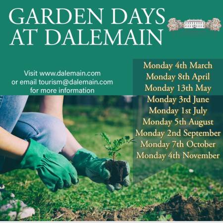 Garden Days at Dalemain